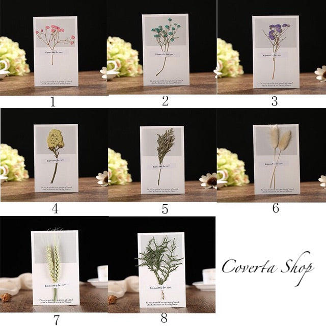 Kartu Ucapan Ulang Tahun - Birthday Card - Wedding Card - Kartu Natal