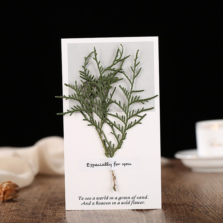 Kartu Ucapan Ulang Tahun - Birthday Card - Wedding Card - Kartu Natal