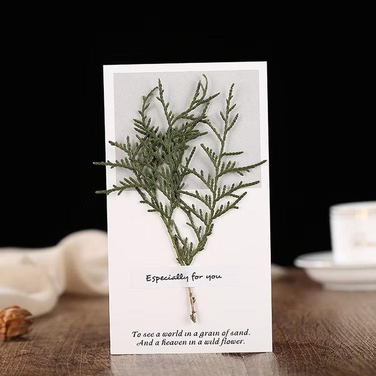 Kartu Ucapan Ulang Tahun - Birthday Card - Wedding Card - Kartu Natal