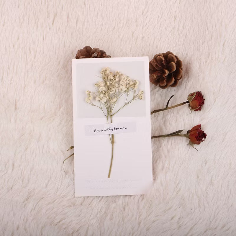 Kartu Ucapan Ulang Tahun - Birthday Card - Wedding Card - Kartu Natal