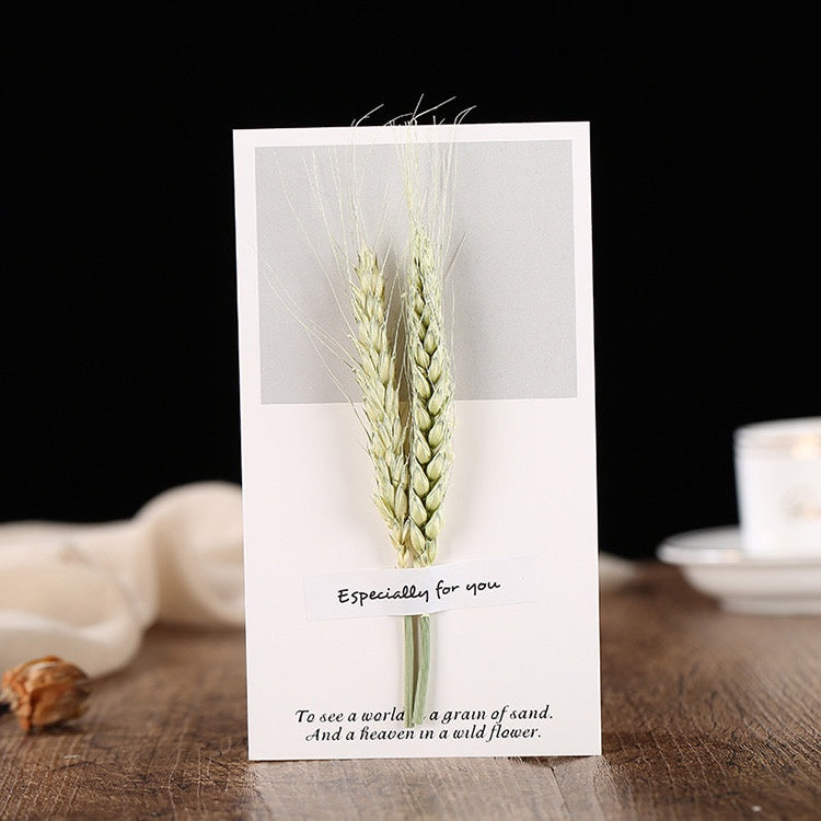 Kartu Ucapan Ulang Tahun - Birthday Card - Wedding Card - Kartu Natal